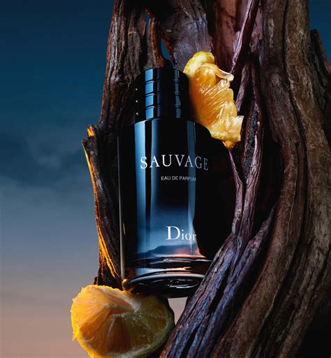 note sauvage dior|sauvage dior fragrantica.